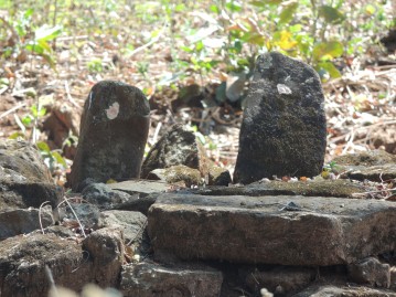 Stones (swami) in kaavus.
